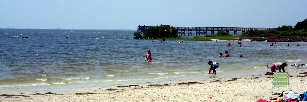 Fort Island beach cropped